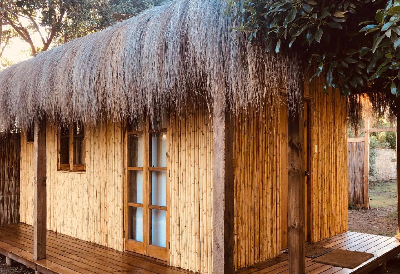El Arbol Eco Lodge La Serena Exterior foto