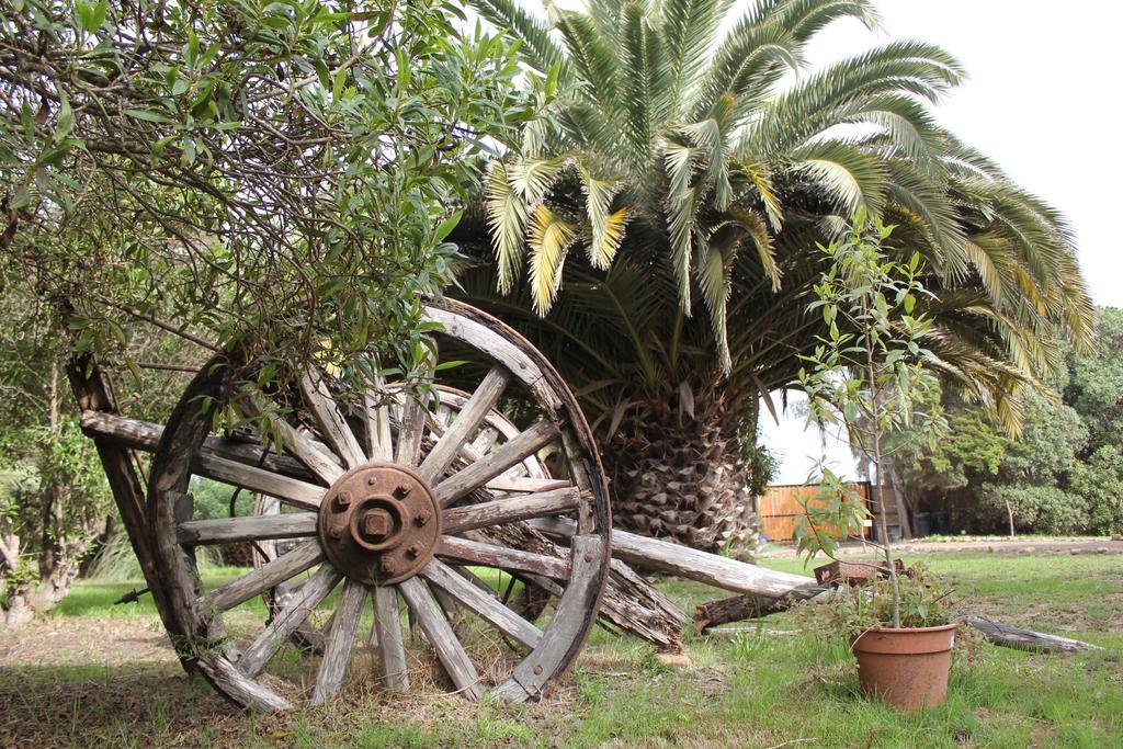 El Arbol Eco Lodge La Serena Exterior foto